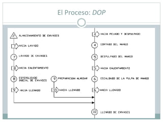El Proceso: DOP
 
