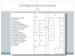 DISTRIBUCIÓN EN PLANTA
 
