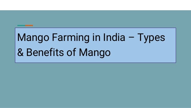 Mango Farming in India – Types
& Benefits of Mango
 