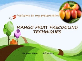 MANGO FRUIT PRECOOLING
TECHNIQUES
Welcome to my presentation
By Samar Biwas Roll No:513
 