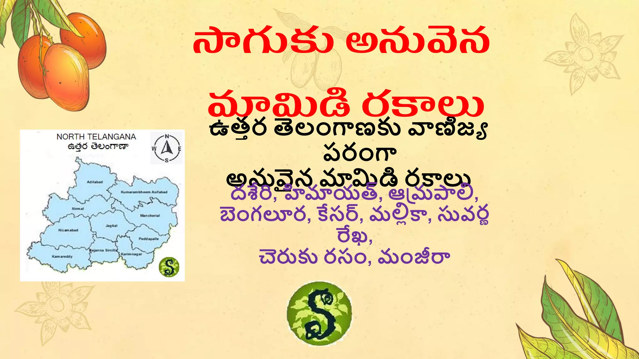 ఉత్తర తెలంగాణకు వాణిజ్య
పరంగా
అనువైన మామిడి రకాలు
సాగుకు అనువన
మామిడి రకాలు
దశేరి, హిమాయత్, ఆమ్రపాలి,
బంగలూర, కేసర్, రలిికా, సువరణ
రేఖ,
చెరుకు రసం, రంజీరా
 