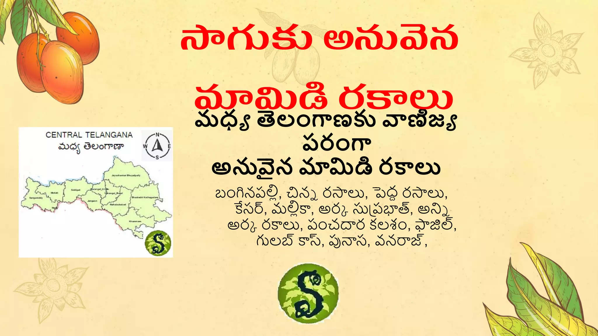 రధ్య తెలంగాణకు వాణిజ్య
పరంగా
అనువైన మామిడి రకాలు
సాగుకు అనువన
మామిడి రకాలు
బ్ంగినపలిల, చినే రస్తలు, పెద్ద రస్తలు,
కేసర్, మలిలకా, అరు సుప్పభాత్, అనిే
అరు రకాలు, పంచదార కలశం, ఫాజిల్,
గులబ్ కాస్, పున్యస, వనరాజ్,
 