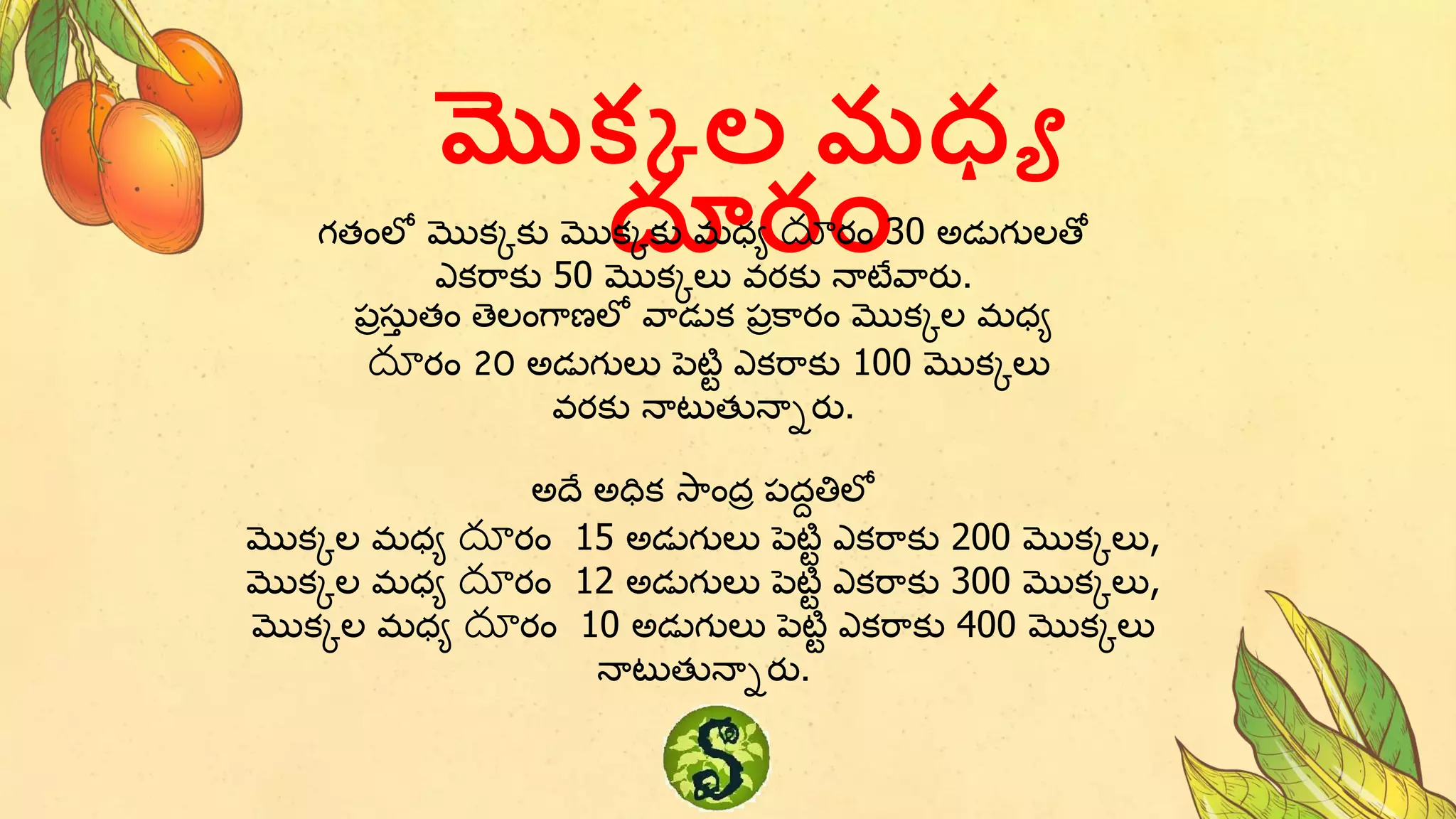 మొక్క ల రధ్య
దూరం
గతంలో మొకకకు మొకకకు మధ్య దూరం 30 అడ్ుగులతో
ఎకరాకు 50 మొకకలు వరకు నాటేవారు.
పరసు
ా తం తెలంగాణ్లో వాడ్ుక పరకారం మొకకల మధ్య
దూరం 20 అడ్ుగులు పెటిి ఎకరాకు 100 మొకకలు
వరకు నాటుతునానరు.
అదే అధిక స్ాందర పదదతిలో
మొకకల మధ్య దూరం 15 అడ్ుగులు పెటిి ఎకరాకు 200 మొకకలు,
మొకకల మధ్య దూరం 12 అడ్ుగులు పెటిి ఎకరాకు 300 మొకకలు,
మొకకల మధ్య దూరం 10 అడ్ుగులు పెటిి ఎకరాకు 400 మొకకలు
నాటుతునానరు.
 