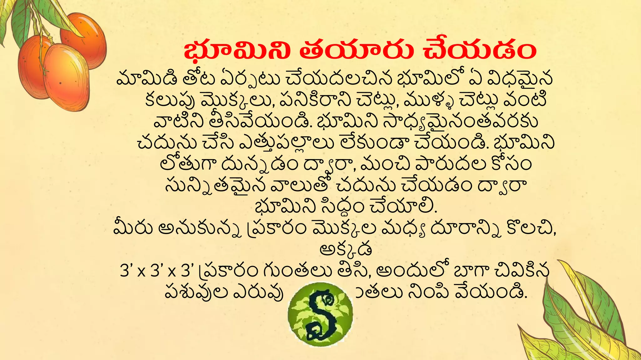 మామిడి తోట ఏరప టు చేయద్లచిన భూమిలో ఏ విధమైన
కలుపు మొకు లు, పనికిరాని చెటుల, ముళ్ళ చెటుల వంట
వాటని తీసివేయండి. భూమిని స్తధా మైనంత్వరకు
చద్ధన చేసి ఎతుాపల
ల లు లేకుండా చేయండి. భూమిని
లోతుగా ద్ధనే డ్ం దావ రా, మంచి ారుద్ల కోసం
సునిే త్మైన వాలుతో చద్ధన చేయడ్ం దావ రా
భూమిని సిద్ధం చేయాలి.
మీరు అనకునే ప్పకారం మొకు ల మధా దూరానిే కొలచి,
అకు డ్
3’ x 3’ x 3’ ప్పకారం గుంత్లు తిసి, అంద్ధలో బాగా చివికిన
పశువుల ఎరువు కలిపి గుంత్లు నింపి వేయండి.
భూమిని తయారు చేయడం
 