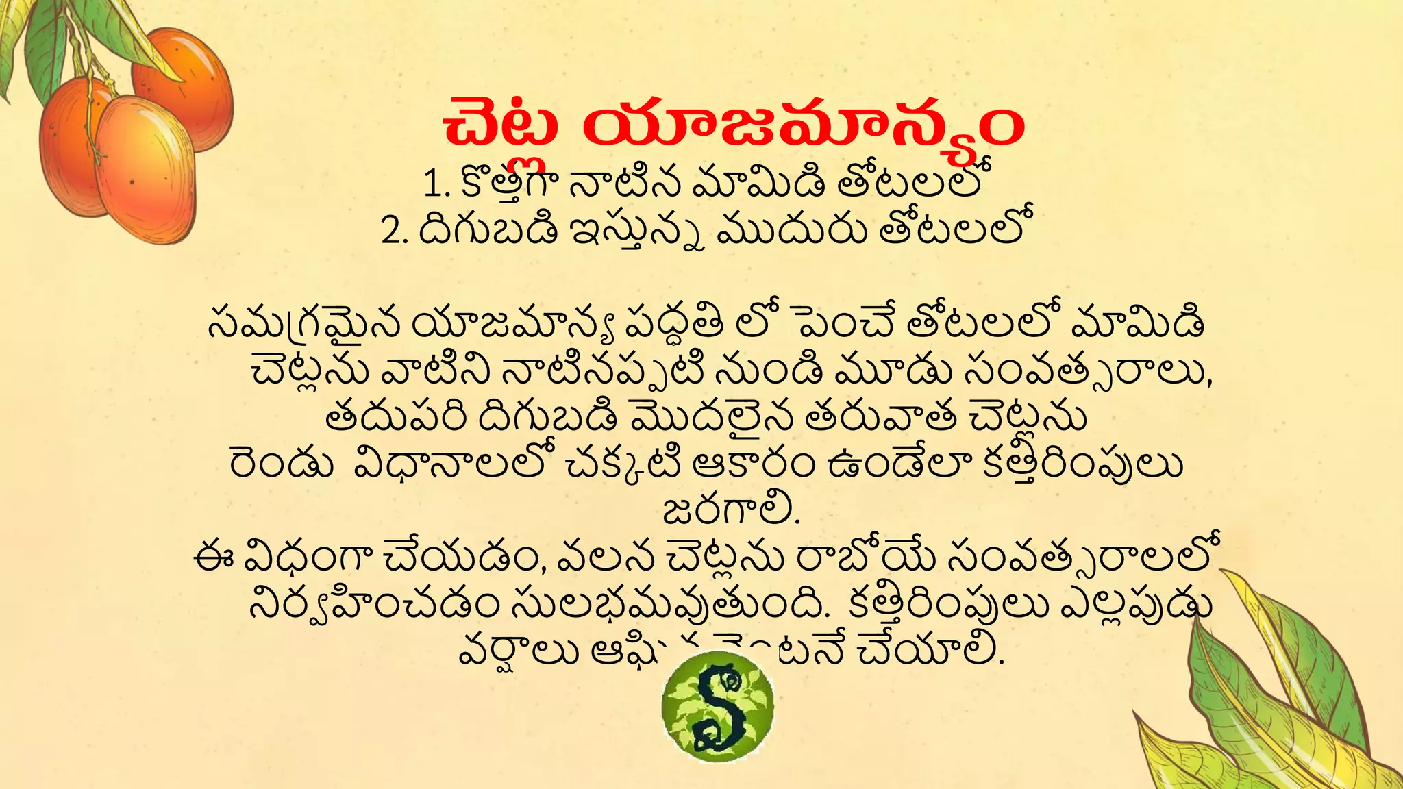 1. కొత్ాగా న్యటన మామిడి తోటలలో
2. దిగుబ్డి ఇసుానే ముద్ధరు తోటలలో
సమప్గమైన యాజమానా పద్ధతి లో పెంచే తోటలలో మామిడి
చెటలన వాటని న్యటనపప ట నండి మూడు సంవత్స రాలు,
త్ద్ధపరి దిగుబ్డి మొద్లైన త్రువాత్ చెటలన
రండు విధ్యన్యలలో చకు ట ఆకారం ఉండేల కతిారింపులు
జరగాలి.
ఈ విధంగా చేయడ్ం, వలన చెటలన రాబోయ్య సంవత్స రాలలో
నిరవ హంచడ్ం సులభమవుతుంది. కతిారింపులు ఎలలపుడు
వరాష లు ఆఘిన వెంటనే చేయాలి.
చెట
ల యాజమానయం
 