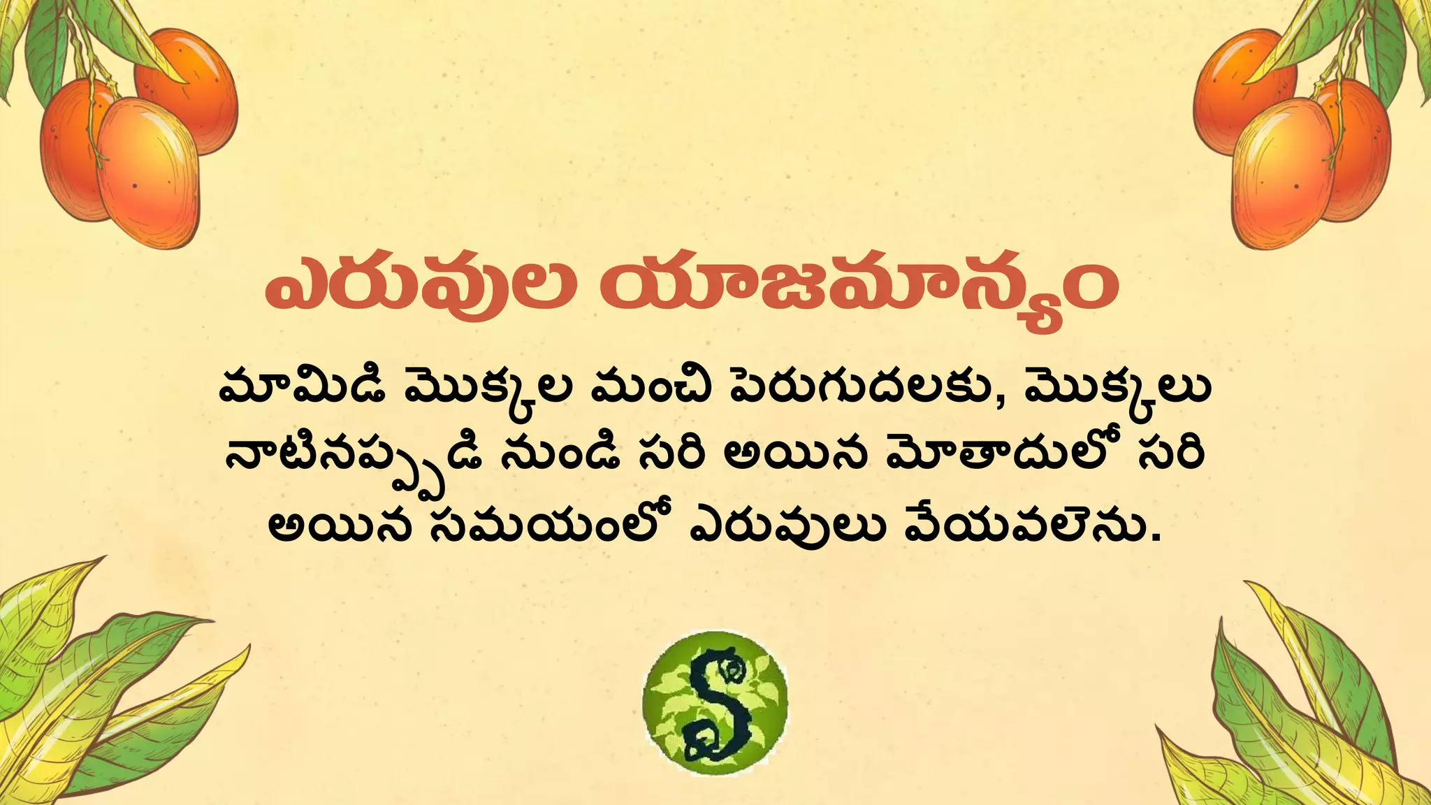 మామిడి మొకకల మంచి పరుగుదలకు, మొకకలు
నాటినపాపడి నుండి సరి అయిన మోతాదులో సరి
అయిన సమయంలో ఎరువులు వేయవల్ను.
ఎరువల యాజమానయం
 