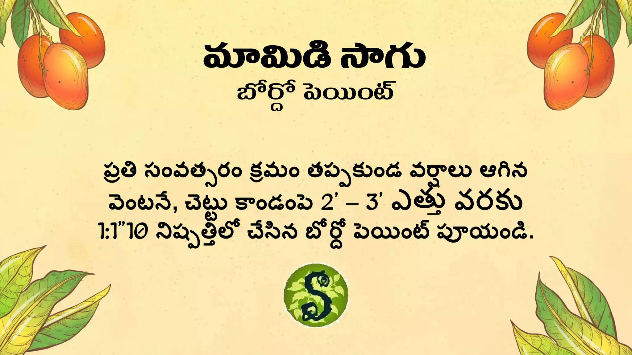 మామిడి సాగు
బోర్ద
ద పెయంట్
పరతి సంవతురం కామం తపాకుండ వరర
ా లు ఆగ్ిన
వంటనే, చటు
ట కరండంప 2’ – 3’ ఎత్తత వరకు
1:1”10 నిష్ాతిూలో చేసన బో రో్ పయింట్స పరయండి.
 