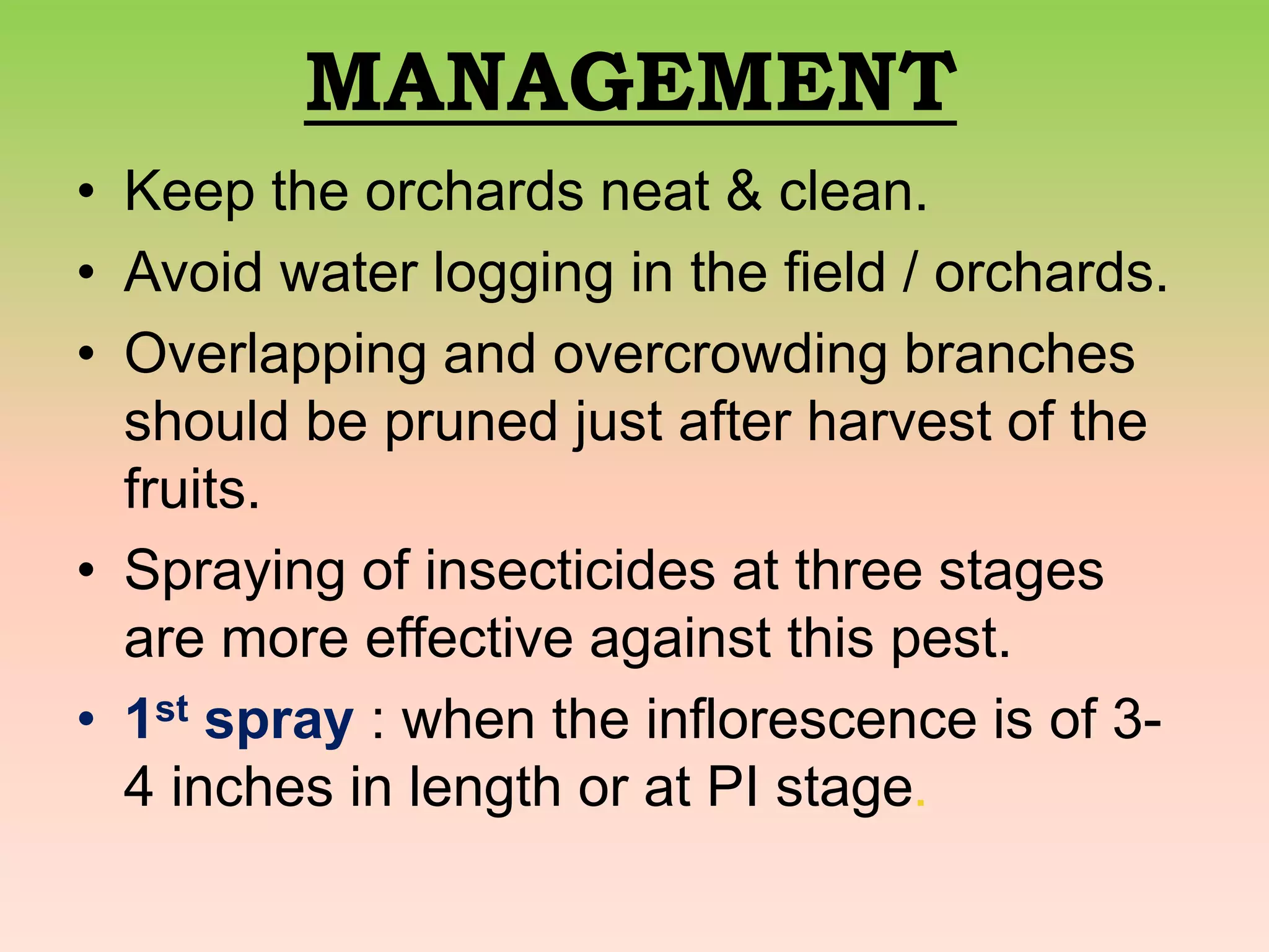 Important Mango Pests | PPT