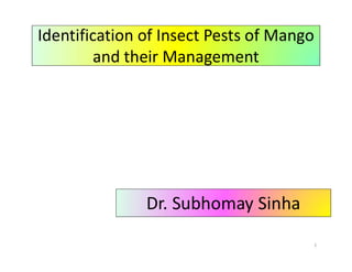 Identification of Insect Pests of Mango
and their Management
1
Dr. Subhomay Sinha
 