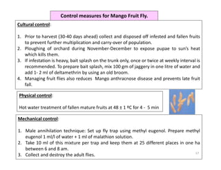 Mango Insect Trap Mango insect pests and their management. | PDF