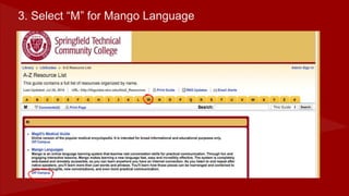 Mango Language Database Presentation | PPTX