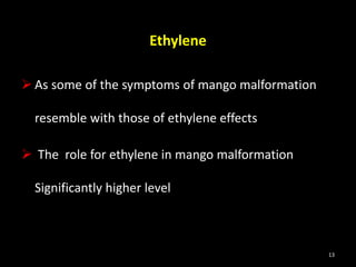 Ethylene
 As some of the symptoms of mango malformation
resemble with those of ethylene effects
 The role for ethylene in mango malformation
Significantly higher level
13
 
