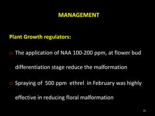 MANAGEMENT
Plant Growth regulators:
o The application of NAA 100-200 ppm, at flower bud
differentiation stage reduce the malformation
o Spraying of 500 ppm ethrel in February was highly
effective in reducing floral malformation
16
 