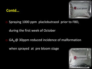 Contd…
o Spraying 1000 ppm placlobutrazol prior to FBD,
during the first week of October
o GA3 @ 30ppm reduced incidence of malformation
when sprayed at pre bloom stage
17
 