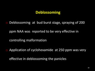 Deblossoming
o Deblossoming at bud burst stage, spraying of 200
ppm NAA was reported to be very effective in
controlling malformation
o Application of cyclohexamide at 250 ppm was very
effective in deblossoming the panicles
18
 