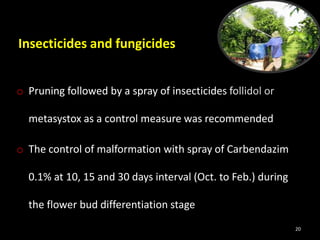 Insecticides and fungicides
o Pruning followed by a spray of insecticides follidol or
metasystox as a control measure was recommended
o The control of malformation with spray of Carbendazim
0.1% at 10, 15 and 30 days interval (Oct. to Feb.) during
the flower bud differentiation stage
20
 