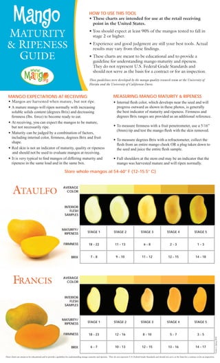 MATURITY
& RIPENESS
GUIDE
HOW TO USE THIS TOOL
• These charts are intended for use at the retail receiving
point in the United States.
• You should expect at least 90% of the mangos tested to fall in
stage 2 or higher.
• Experience and good judgment are still your best tools. Actual
results may vary from these ﬁndings.
• These charts are meant to be educational and to provide a
guideline for understanding mango maturity and ripeness.
They do not represent U.S. Federal Grade Standards and
should not serve as the basis for a contract or for an inspection.
These guidelines were developed by the mango quality research team at the University of
Florida and the University of California-Davis.
MANGO EXPECTATIONS AT RECEIVING
• Mangos are harvested when mature, but not ripe.
• A mature mango will ripen normally with increasing
soluble solids content (degrees Brix) and decreasing
ﬁrmness (lbs. force) to become ready to eat.
• At receiving, you can expect the mangos to be mature,
but not necessarily ripe.
• Maturity can be judged by a combination of factors,
including internal color, ﬁrmness, degrees Brix and fruit
shape.
• Red skin is not an indicator of maturity, quality or ripeness
and should not be used to evaluate mangos at receiving.
• It is very typical to ﬁnd mangos of differing maturity and
ripeness in the same load and in the same box.
MEASURING MANGO MATURITY & RIPENESS
• Internal ﬂesh color, which develops near the seed and will
progress outward as shown in these photos, is generally
the best indicator of maturity and ripeness. Firmness and
degrees Brix ranges are provided as an additional reference.
• To measure ﬁrmness with a fruit penetrometer, use a 5/16”
(8mm) tip and test the mango ﬂesh with the skin removed.
• To measure degrees Brix with a refractometer, collect the
ﬂesh from an entire mango cheek OR a plug taken down to
the seed and juice the entire ﬂesh sample.
• Full shoulders at the stem end may be an indicator that the
mango was harvested mature and will ripen normally.
AVERAGE
COLOR
INTERIOR
FLESH
SAMPLES
FRANCIS
STAGE 1 STAGE 2 STAGE 3 STAGE 4 STAGE 5
18 - 23 12 - 16 8 - 10 5 - 7 3 - 5
6 - 7 10 - 13 12 - 15 13 - 16 14 - 17BRIX
MATURITY/
RIPENESS
FIRMNESS
AVERAGE
COLOR
INTERIOR
FLESH
SAMPLES
ATAULFO
STAGE 1 STAGE 2 STAGE 3 STAGE 4 STAGE 5
18 - 22 11 - 13 6 - 8 2 - 3 1 - 3
7 - 8 9 - 10 11 - 12 12 - 15 14 - 18BRIX
MATURITY/
RIPENESS
FIRMNESS
Version1,Spring2010
Store whole mangos at 54-60° F (12-15.5° C)
These charts are meant to be educational and to provide a guideline for understanding mango maturity and ripeness. They do not represent U.S. Federal Grade Standards and should not serve as the basis for a contract or for an inspection.
80741 NMB_maturitychrt.indd 180741 NMB_maturitychrt.indd 1 4/23/10 9:03:40 AM4/23/10 9:03:40 AM
 