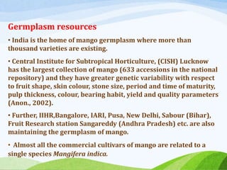 Germplasm resources
• India is the home of mango germplasm where more than
thousand varieties are existing.
• Central Institute for Subtropical Horticulture, (CISH) Lucknow
has the largest collection of mango (633 accessions in the national
repository) and they have greater genetic variability with respect
to fruit shape, skin colour, stone size, period and time of maturity,
pulp thickness, colour, bearing habit, yield and quality parameters
(Anon., 2002).
• Further, IIHR,Bangalore, IARI, Pusa, New Delhi, Sabour (Bihar),
Fruit Research station Sangareddy (Andhra Pradesh) etc. are also
maintaining the germplasm of mango.
• Almost all the commercial cultivars of mango are related to a
single species Mangifera indica.
 