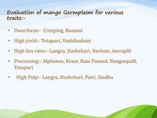Evaluation of mango Germplasm for various
traits:-
• Dwarfness:- Creeping, Rumani
• High yield:- Totapuri, Vashibadami
• High Sex ratio:- Langra, Dashehari, Neelum, Amraplli
• Processing:- Alphanso, Kesar, Rani Pasand, Banganpalli,
Totapuri
• High Pulp:- Langra, Dashehari, Pairi, Sindhu
 