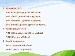  IIHR BANGLORE:-
• Arka Aruna (Banganpali x Alphanso)
• Arka Puneet (Alphanso x Banganpali)
• Arka Neelkiran (Alphanso x Neelum)
• Arka Anmol (Alphanso x Janardan Pasand)
 PERIYAKULAM, TNAU:-
• PKM-1 (Chinnaswarnarekha x Neelum)
• PKM 2 (Neelum x Malgoa)
 Dapoli, Maharastra:-
• Ratna (Alphanso x Neelum)
• Sindhu (Ratna x Alphanso)
 