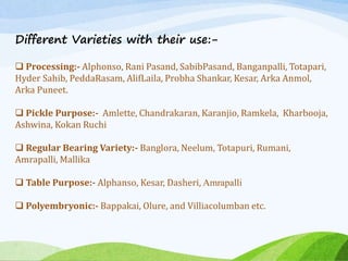 Different Varieties with their use:-
 Processing:- Alphonso, Rani Pasand, SabibPasand, Banganpalli, Totapari,
Hyder Sahib, PeddaRasam, AlifLaila, Probha Shankar, Kesar, Arka Anmol,
Arka Puneet.
 Pickle Purpose:- Amlette, Chandrakaran, Karanjio, Ramkela, Kharbooja,
Ashwina, Kokan Ruchi
 Regular Bearing Variety:- Banglora, Neelum, Totapuri, Rumani,
Amrapalli, Mallika
 Table Purpose:- Alphanso, Kesar, Dasheri, Amrapalli
 Polyembryonic:- Bappakai, Olure, and Villiacolumban etc.
 