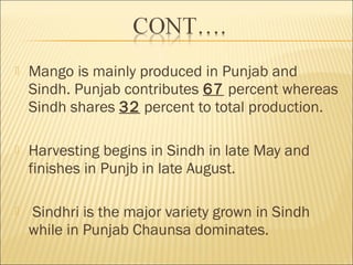  Mango is mainly produced in Punjab and
Sindh. Punjab contributes 67 percent whereas
Sindh shares 32 percent to total production.
 Harvesting begins in Sindh in late May and
finishes in Punjb in late August.
 Sindhri is the major variety grown in Sindh
while in Punjab Chaunsa dominates.
 