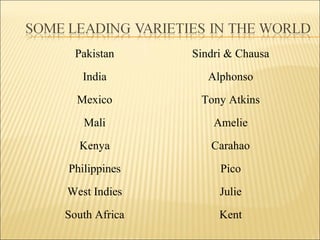 Pakistan Sindri & Chausa
India Alphonso
Mexico Tony Atkins
Mali Amelie
Kenya Carahao
Philippines Pico
West Indies Julie
South Africa Kent
 