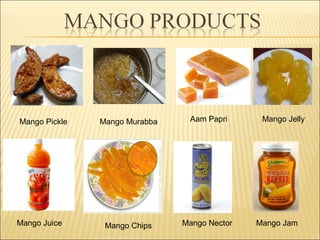 Mango Pickle Mango Murabba
Mango Chips
Aam Papri
Mango Juice Mango Nector Mango Jam
Mango Jelly
 