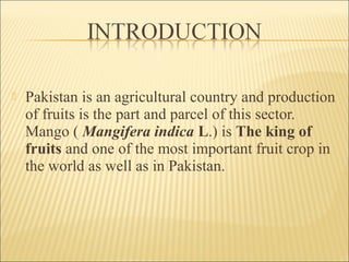  Pakistan is an agricultural country and production
of fruits is the part and parcel of this sector.
Mango ( Mangifera indica L.) is The king of
fruits and one of the most important fruit crop in
the world as well as in Pakistan.
 