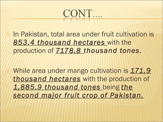  In Pakistan, total area under fruit cultivation is
853.4 thousand hectares with the
production of 7178.8 thousand tones.
 While area under mango cultivation is 171.9
thousand hectares with the production of
1,885.9 thousand tones being the
second major fruit crop of Pakistan.
 