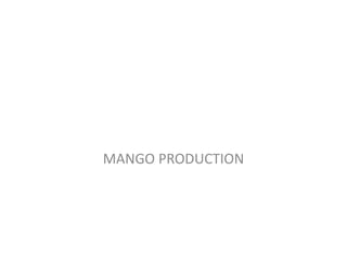 MANGO PRODUCTION
 