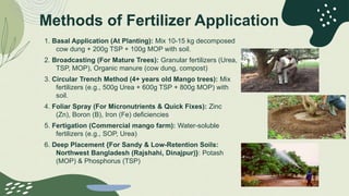 CLIMATE, SOIL AND NUTRIENTS FOR MANGO PRODUCTION IN BANGLADESH .pptx