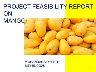 PROJECT FEASIBILITY REPORT
ON
MANGO PULP INDUSTRY
V.CHANDANA DEEPTHI
MT14INDO25
1
 