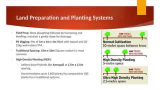 Fym Well Rotted Comprehensive Guide to Mango Production Technology and Management | PPTX