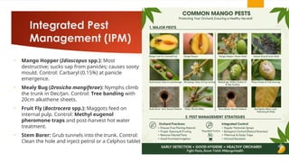 Comprehensive Guide to Mango Production Technology and Management | PPTX