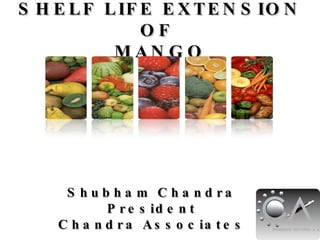 SHELF LIFE EXTENSION OF  MANGO Shubham Chandra President Chandra Associates                                                                                                                 