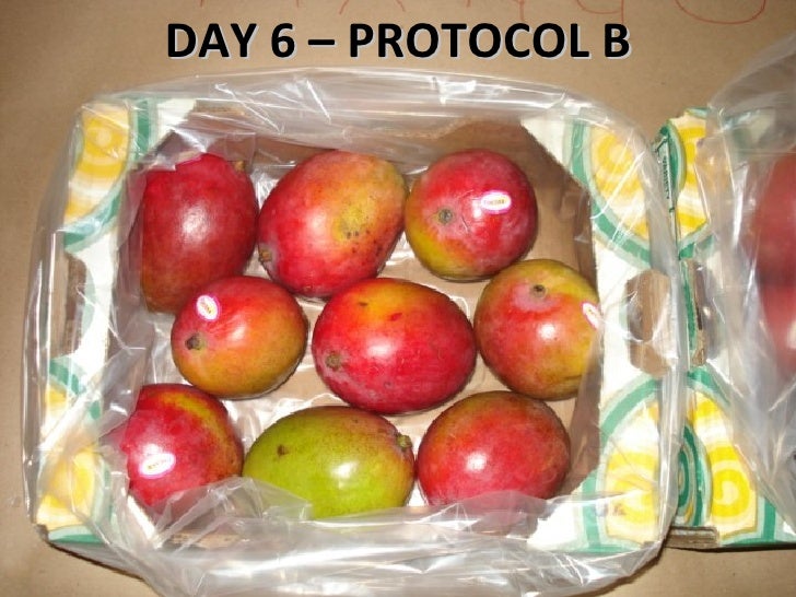 Mango Shelf Life Testing