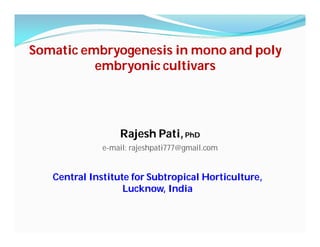 Somatic embryogenesis in mono and poly
embryonic cultivars
Central Institute for Subtropical Horticulture,
Lucknow, India
Rajesh Pati,PhD
e-mail: rajeshpati777@gmail.com
 