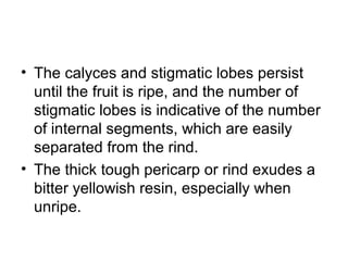 Mangosteen | PPT