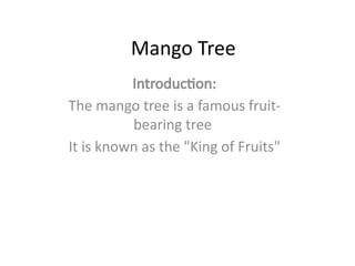 Mango Introduction Comprehensive Overview of the Mango Tree: Features, Fruit, and Benefits ...