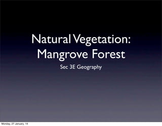 Natural Vegetation:
Mangrove Forest
Sec 3E Geography

Monday, 27 January, 14

 