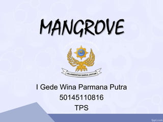 MANGROVE
I Gede Wina Parmana Putra
50145110816
TPS
 