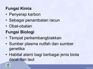 Fungsi Kimia
• Penyerap karbon
• Sebagai penambatan racun
• Obat-obatan
Fungsi Biologi
• Tempat perkembangbiakkan
• Sumber plasma nutfah dan sumber
genetika
• Habitat alami bagi berbagai jenis biota
darat dan laut
 