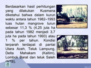 Berdasarkan hasil perhitungan
yang dilakukan Kusmana
diketahui bahwa dalam kurun
waktu antara tahun 1982–1993
luas hutan mangrove turun
sebesar 11,3 % (4,25 juta ha
pada tahun 1982 menjadi 3,7
juta ha pada tahun 1993) atau
1 % per tahun. Kondisi
terparah terdapat di pantai
Utara Aceh, Teluk Lampung,
Delta Mahakam (Kaltim),
Lombok Barat dan teluk Saleh
(NTB).
 