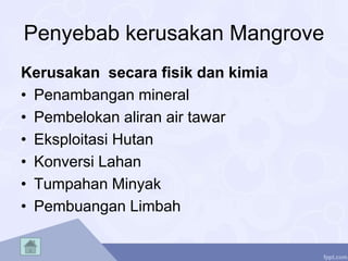 Penyebab kerusakan Mangrove
Kerusakan secara fisik dan kimia
• Penambangan mineral
• Pembelokan aliran air tawar
• Eksploitasi Hutan
• Konversi Lahan
• Tumpahan Minyak
• Pembuangan Limbah
 