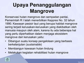 Upaya Penanggulangan
Mangrove
Konservasi hutan mangrove dan sempadan pantai,
Pemerintah R I telah menerbitkan Keppres No. 32 tahun
1990. Kawasan pesisir laut yang berupa habitat mangrove
sering terjadi kerusakan-kerusakan yang diakibatkan oleh
manusia maupun oleh alam, karena itu ada beberapa hal
yang perlu diperhatikan dalam menjaga ekosistem
mangrove dari kerusakan yaitu:
• Dibangun suatu konsep pengelolaan yang berbasis
berkelanjutan (sustainable)
• Membangun kawasan hutan lindung
• Melakukan kegiatan rehabilitasi hutan mangrove
 