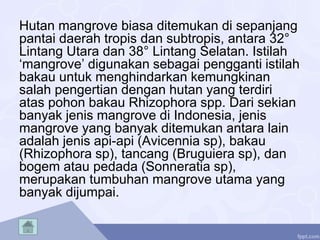 Hutan mangrove biasa ditemukan di sepanjang
pantai daerah tropis dan subtropis, antara 32°
Lintang Utara dan 38° Lintang Selatan. Istilah
‘mangrove’ digunakan sebagai pengganti istilah
bakau untuk menghindarkan kemungkinan
salah pengertian dengan hutan yang terdiri
atas pohon bakau Rhizophora spp. Dari sekian
banyak jenis mangrove di Indonesia, jenis
mangrove yang banyak ditemukan antara lain
adalah jenis api-api (Avicennia sp), bakau
(Rhizophora sp), tancang (Bruguiera sp), dan
bogem atau pedada (Sonneratia sp),
merupakan tumbuhan mangrove utama yang
banyak dijumpai.
 