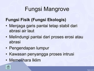 Fungsi Mangrove
Fungsi Fisik (Fungsi Ekologis)
• Menjaga garis pantai tetap stabil dari
abrasi air laut
• Melindungi pantai dari proses erosi atau
abrasi
• Pengendapan lumpur
• Kawasan penyangga proses intrusi
• Memelihara Iklim
 