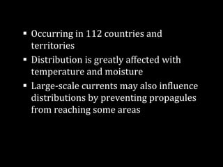 ▪ Occurring in 112 countries and
territories
▪ Distribution is greatly affected with
temperature and moisture
▪ Large-scale currents may also influence
distributions by preventing propagules
from reaching some areas
 