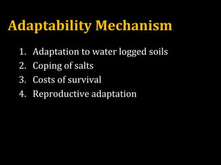 Adaptability Mechanism
1. Adaptation to water logged soils
2. Coping of salts
3. Costs of survival
4. Reproductive adaptation
 